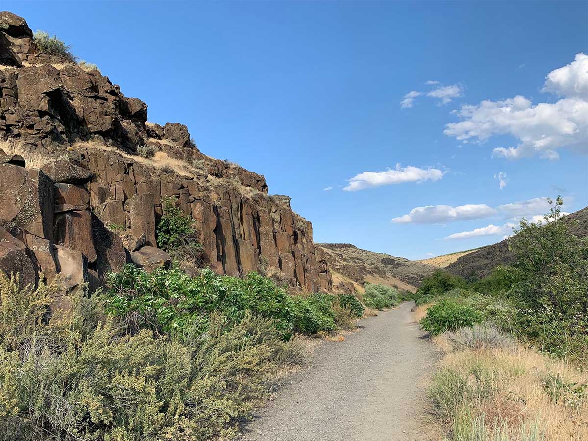 Cowiche Canyon, Washington – Northwest Wildflowers